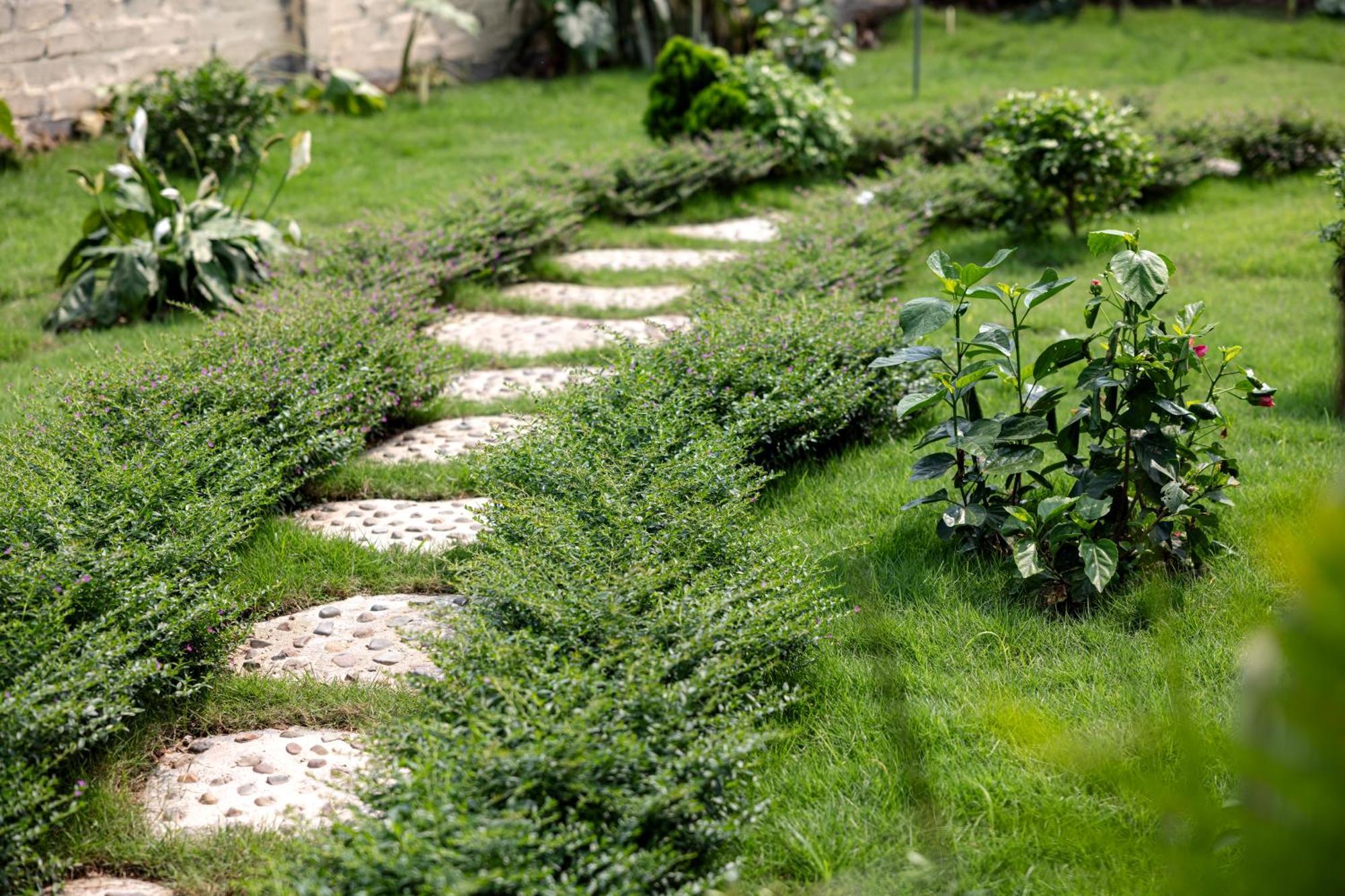 Homestay Scenic Mountain Ninh Binh